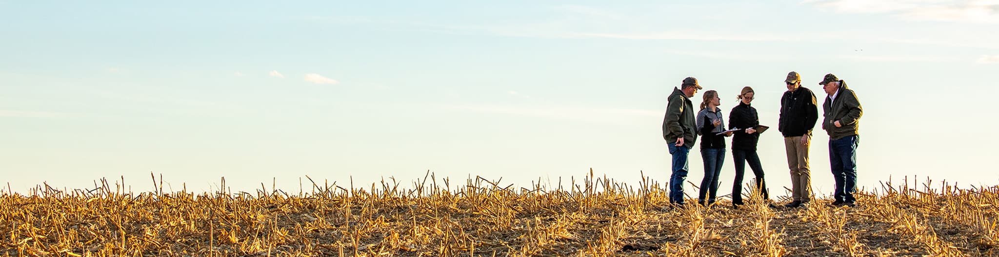 Five people standing and talking in a harvested field
