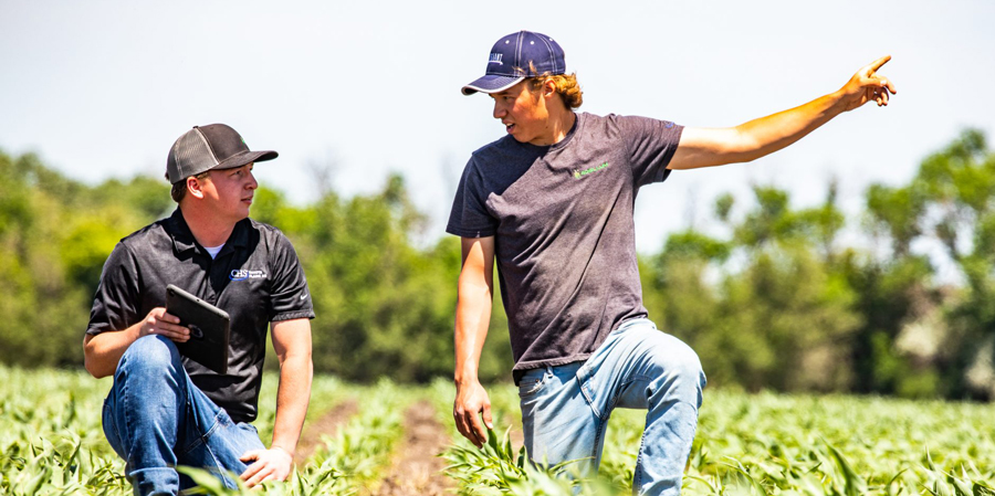 Two men kneeling in a field looking at crops