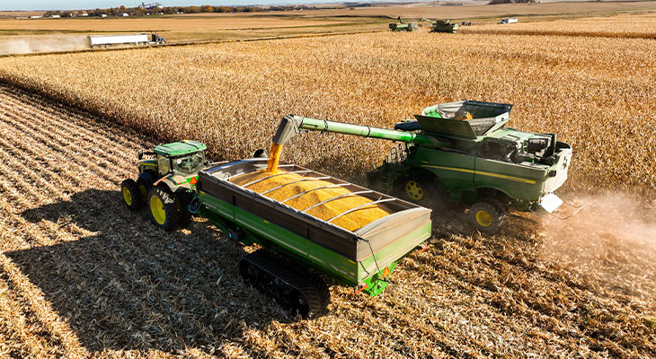 Corn harvest